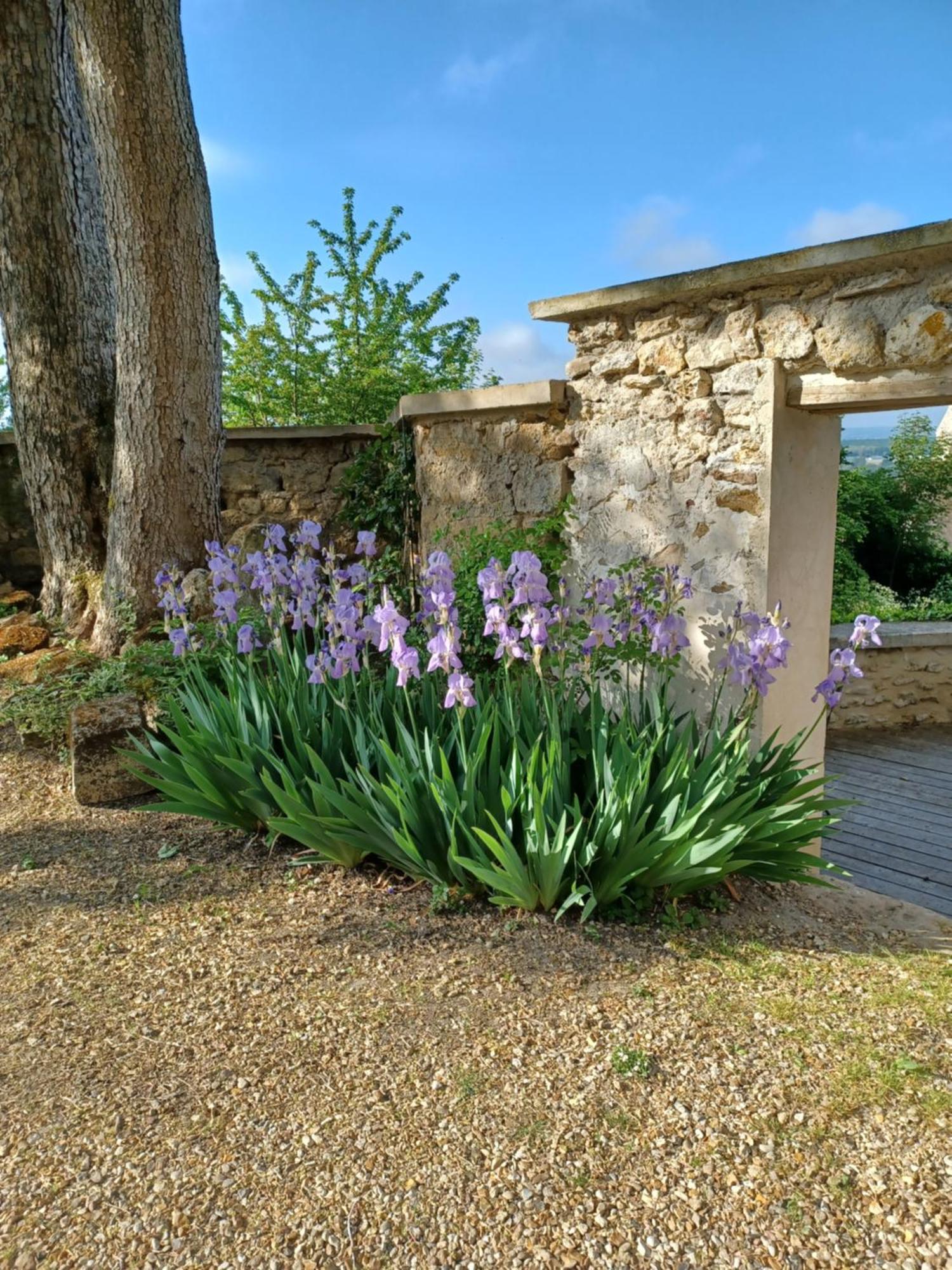 Le Verger Vaux-Sur-Seine 外观 照片